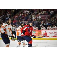 Greenville Swamp Rabbits battle the South Carolina Stingrays