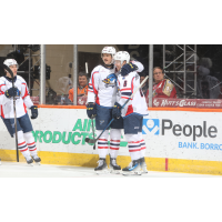 Springfield Thunderbirds' Samuel Johannesson congratulated by teammate