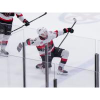 Belleville Senators' Stephen Halliday celebrates win