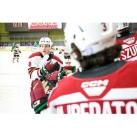 Tucson Roadrunners' Artem Duda congratulated by team