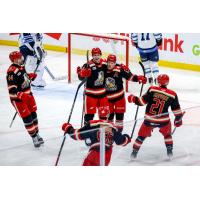 Grand Rapids Griffins gather following a goal against the Manitoba Moose