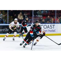 Vancouver Giants' Ty Halaburda and Kelowna Rockets' Hiroki Gojsic and Hayden Paupanekis in action