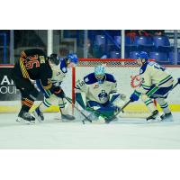 Vancouver Giants right wing Connor Levis takes a shot against the Swift Current Broncos