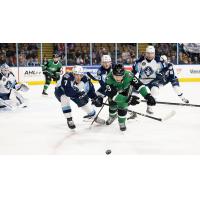 Texas Stars forward Justin Hryckowian vs. the Milwaukee Admirals