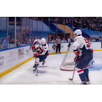 South Carolina Stingrays' Jamie Engelbert in action