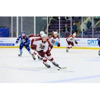 Peterborough Petes' Brady Stonehouse in action