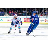 Rochester Americans' Brett Murray and Syracuse Crunch's Logan Brown on the ice