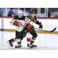 Utica Comets' Max Willman and Belleville Senators' Wyatt Bongiovanni on game night