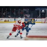 Grand Rapids Griffins' Nate Danielson and Colorado Eagles' Mark Senden in action