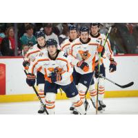 Greenville Swamp Rabbits hit the ice